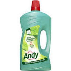 SET A 2 CANS 5L SAN. ALKALINE CLEANER SAN BRIGHT EWEPO