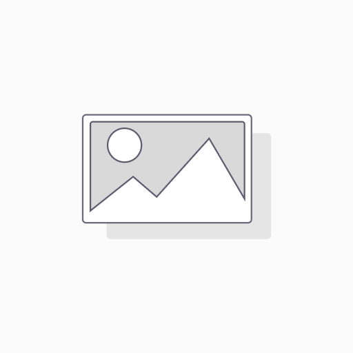 HARP LOCK STAINLESS STEEL X 501-i 8mm