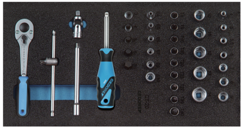 MODULE 1500 CT1-20 2308967