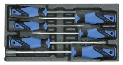 MODULE 1500 ES-2150 PH SCHROEVENDRAAIERSET 2150-4-5,5-6,5-8 / 2160-PH1-PH2 IN 1/3 MODULE 1523708