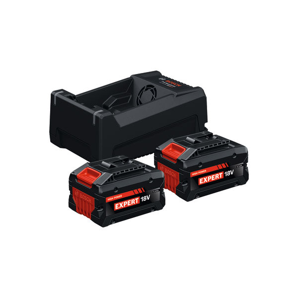 BOSCH EXPERT 2x EXBA18V-55 + GAL12V/18V-80  ACCU STARTERSET TABLESS CELL 5,5Ah 1600A0373P