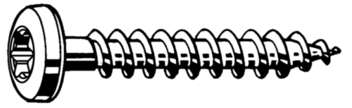 [253000325] SPAANPL.SCHROEF RVS BK TORX 4,5x30 