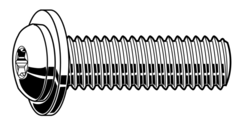 [257000855] BOUT LBK-TORX RVS A2 ISO7380 M4x20 MET FLENS