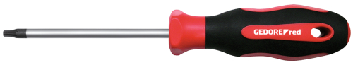 [306003620] 2C SCREWDRIVER TX T10, L 100mm R38401115, 3301262