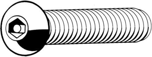 [048000140] BZK SCHROEF LBK met PIN BEV. RVS M6x16 