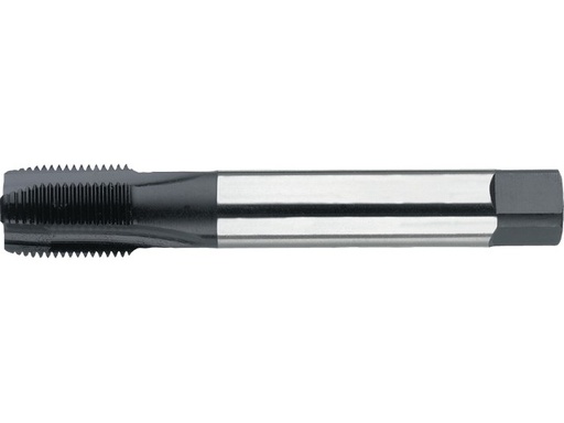 [128043855] MACHINETAP HSSE-V BSP/GAS 1/4" 25.160.1316