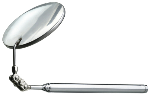 INSPECTION MIRROR 718 1979841
