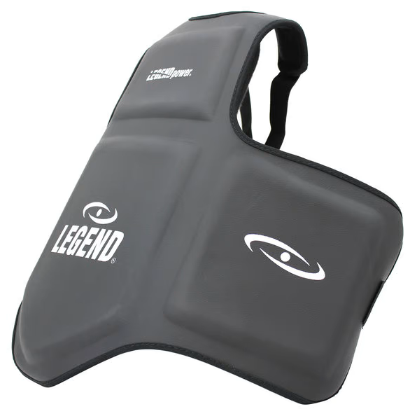 LEGEND SPORTS FULL BODY PROTECTOR BLACK FAUX LEATHER