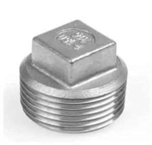 RVS 316 VIERKANT PLUG 1.1/2'' BSP