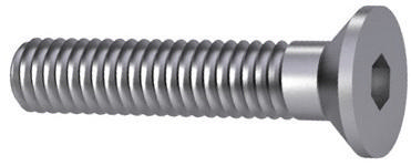 [019001655] BZK BOLT VK ELVZ 8.8/D7991 M6x25