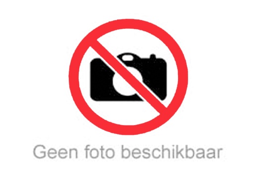 [914000060] ALLESKNIPPER 993-190mm RVS 