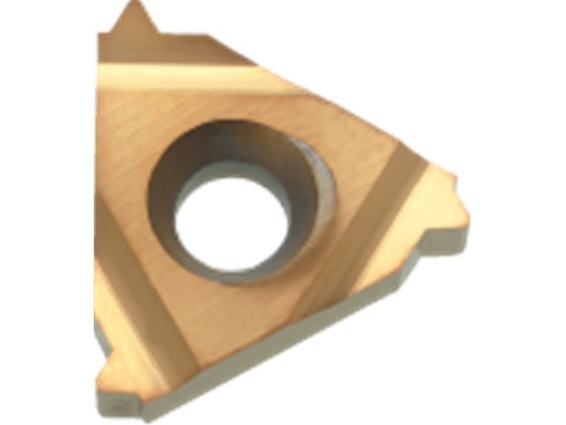 [064010245] BEITELPLAAT METR. 16-ER 1,25 HCP25M 74.170.1020