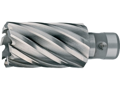 [128058615] HSS KERNBOOR 22 mm DIEPTE 35 mm FEIN QUICK-IN 62.250.2200